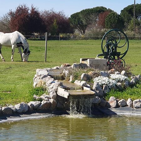 Domaine Christanna Bed & Breakfast Lisle-sur-Tarn Екстериор снимка