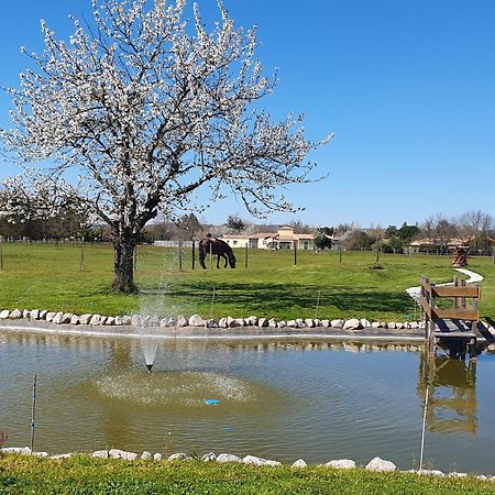 Domaine Christanna Bed & Breakfast Lisle-sur-Tarn Екстериор снимка