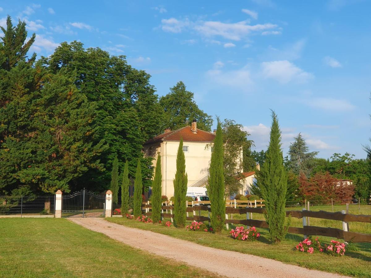 Domaine Christanna Bed & Breakfast Lisle-sur-Tarn Екстериор снимка