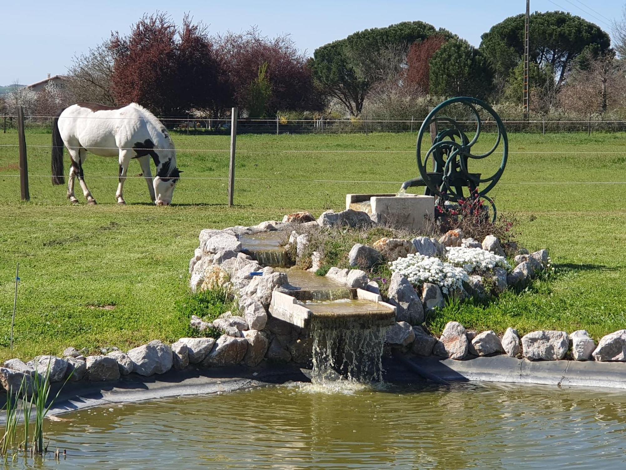 Domaine Christanna Bed & Breakfast Lisle-sur-Tarn Екстериор снимка