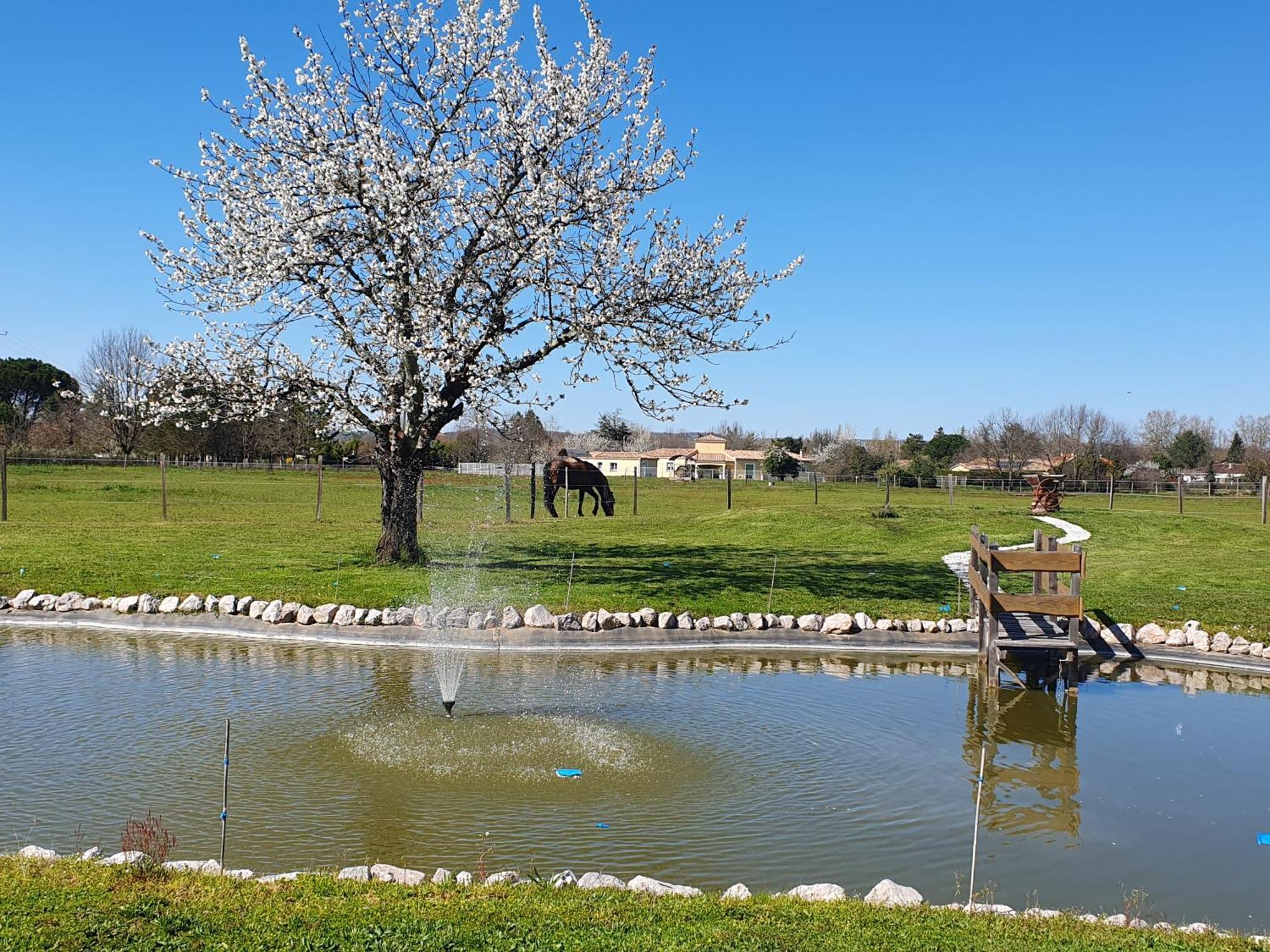 Domaine Christanna Bed & Breakfast Lisle-sur-Tarn Екстериор снимка